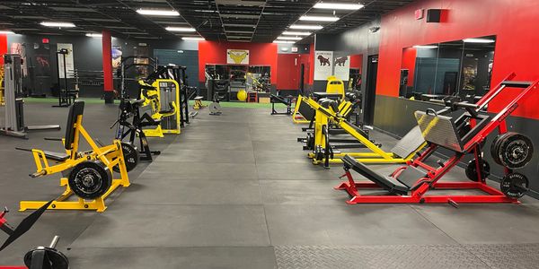 Welcome To The Pit - Gym/Fitness, Health/Weight Training